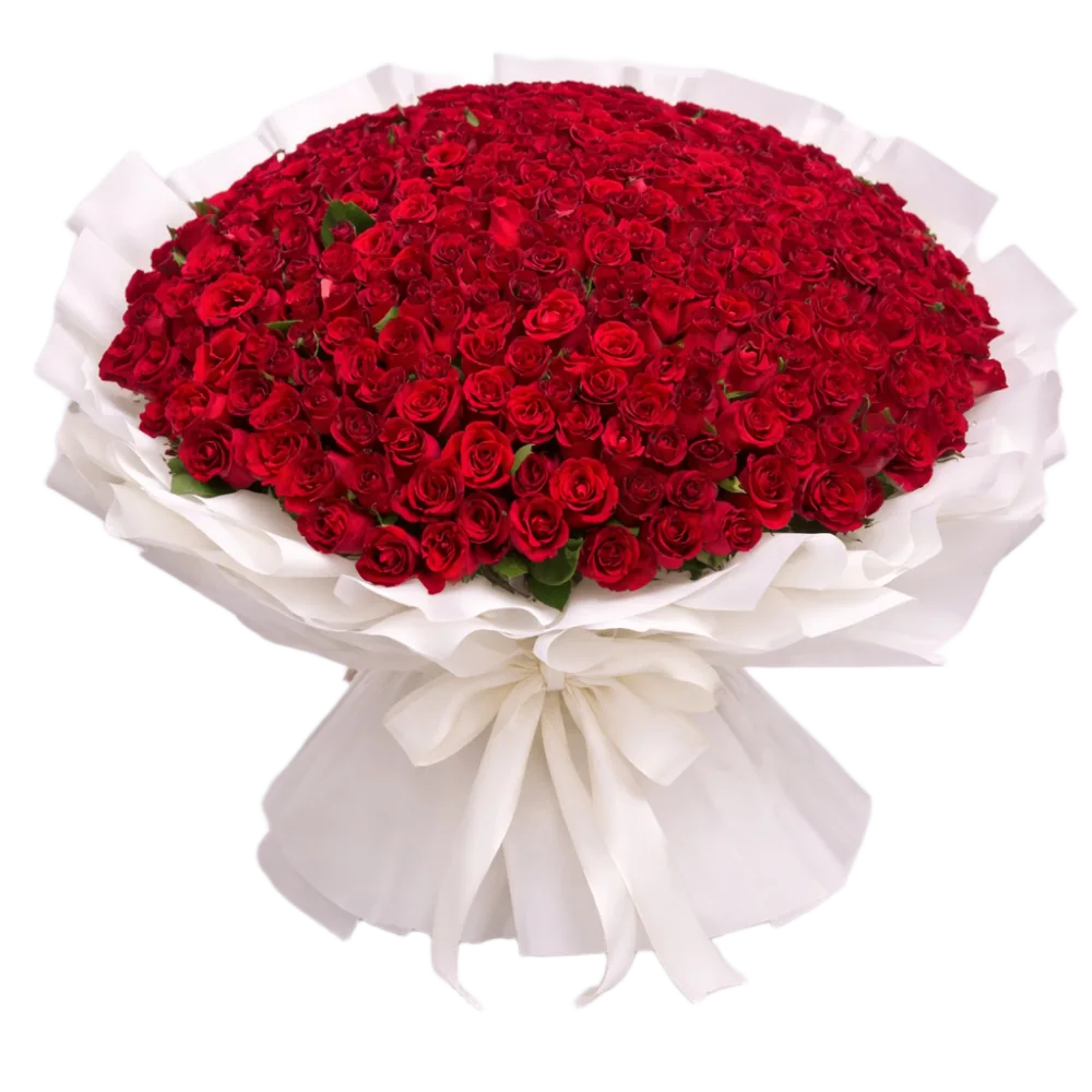 Buchón de 100 rosas rosadas en papel coreano Cali